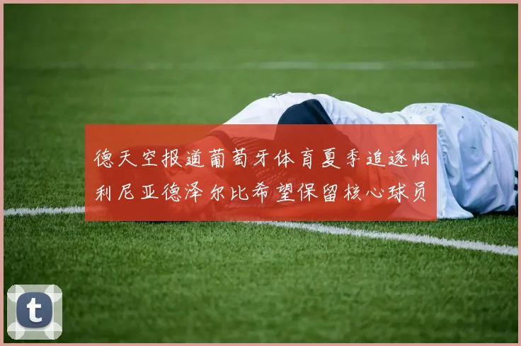 德天空报道葡萄牙体育夏季追逐帕利尼亚德泽尔比希望保留核心球员